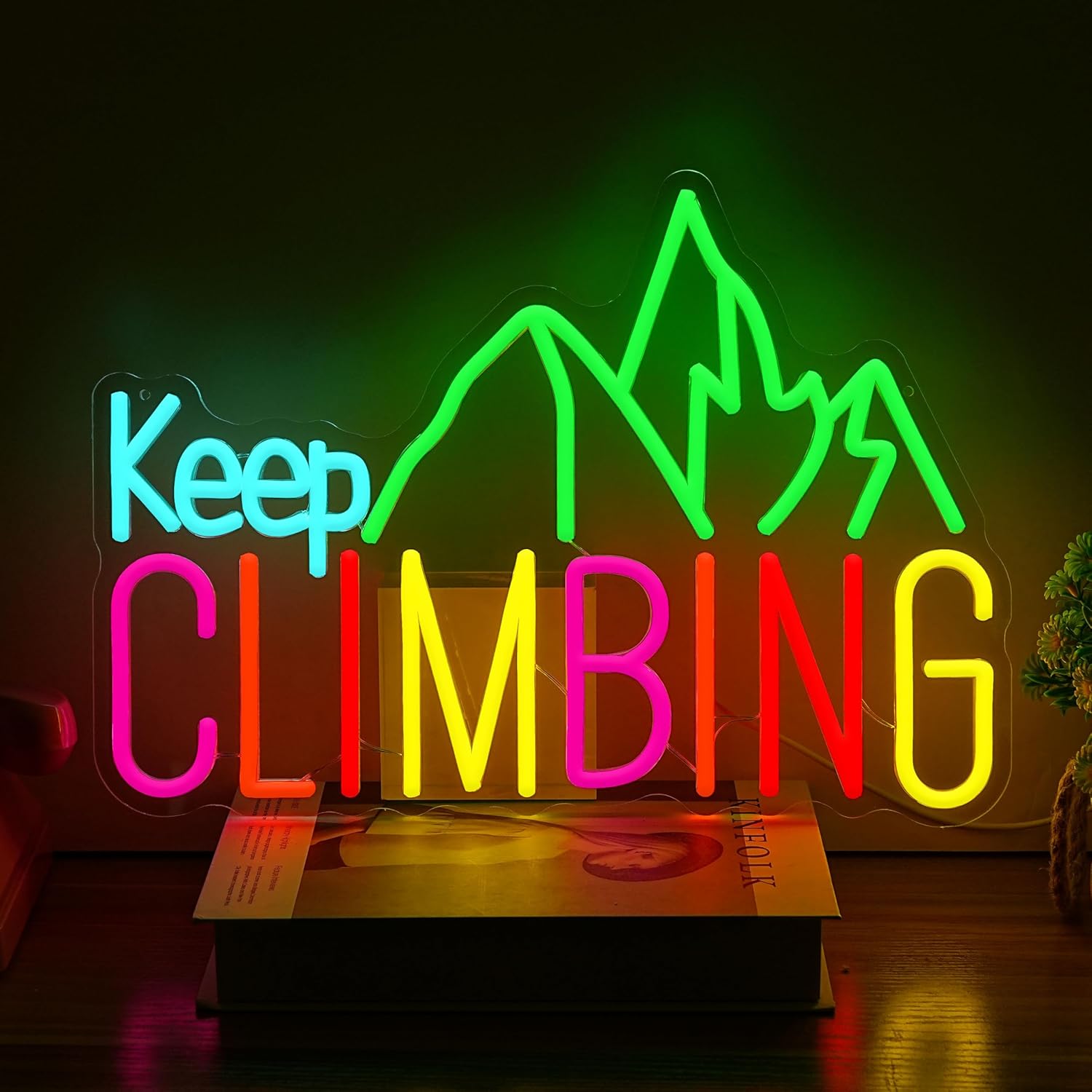 ป้ายไฟนีออน Keep Climbing พร้อ - Garden Lighting Decor บทวิจารณ์และราคา